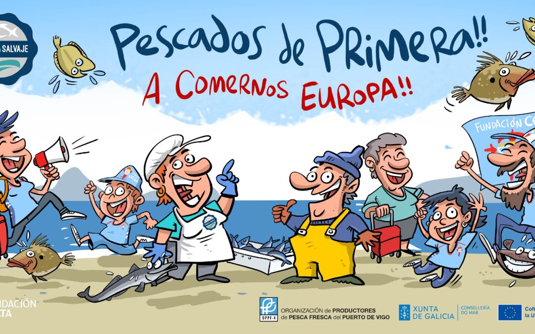 La OPPF-4 y la Fundación Celta renuevan su alianza para dar continuidad a la campaña Pescados de Primera, que este año se refuerza con el lema “A comernos Europa”